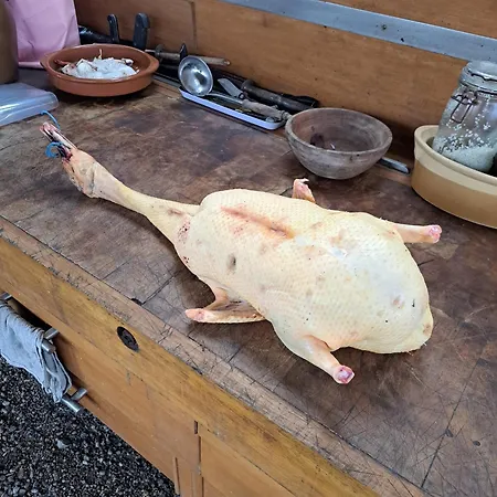 בית נופש Domaine Baraque Pouillon