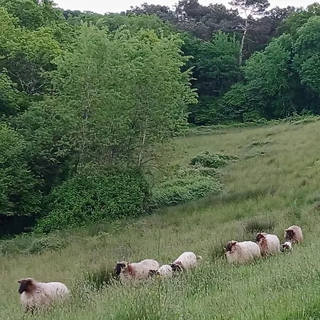Domaine Baraque *