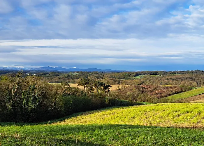 Domaine Baraque Pouillon