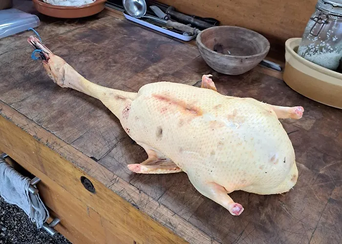 Hébergement de vacances Domaine Baraque Pouillon